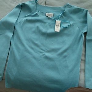 Ann Taylor Loft Sweater